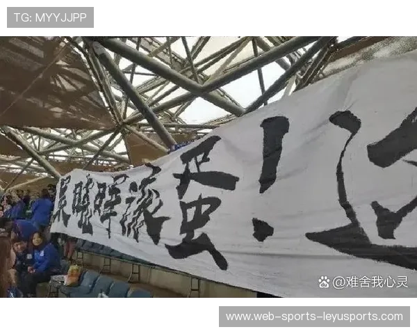 球迷文化现象：赛场横幅与社会表达的界限，球赛标语