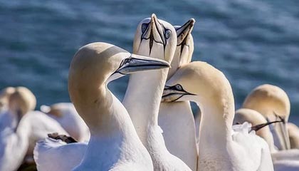 乐鱼体育平台app下载-亚洲杯中国足球出战 球员配合成为看点，足球亚洲杯中国队名单